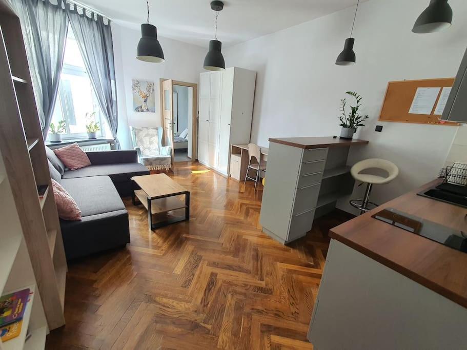 Apartament Przy Szkole Filmowej, Darmowy Parking وودج المظهر الخارجي الصورة