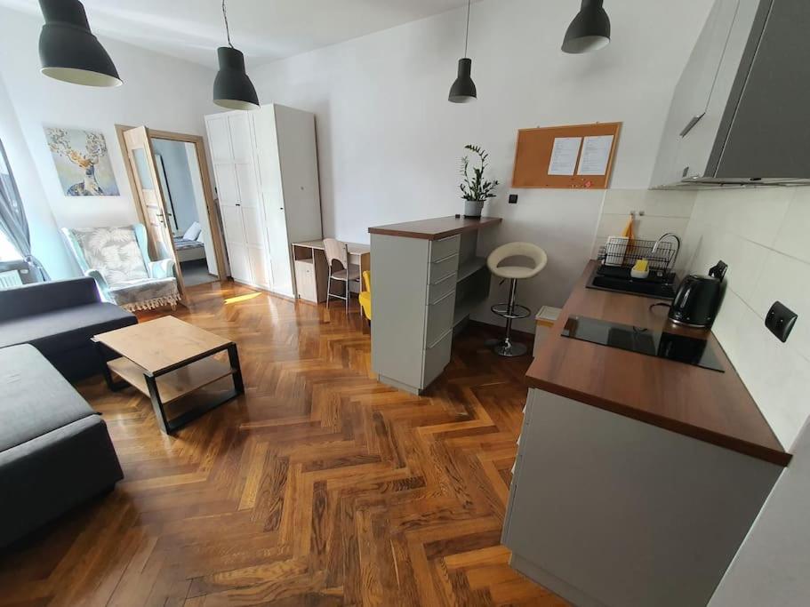 Apartament Przy Szkole Filmowej, Darmowy Parking وودج المظهر الخارجي الصورة