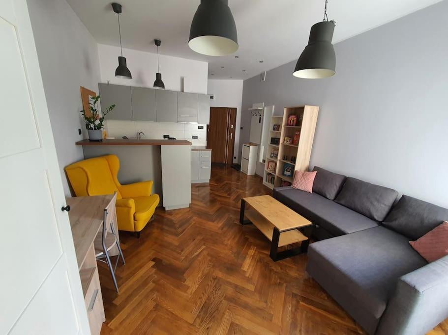 Apartament Przy Szkole Filmowej, Darmowy Parking وودج المظهر الخارجي الصورة